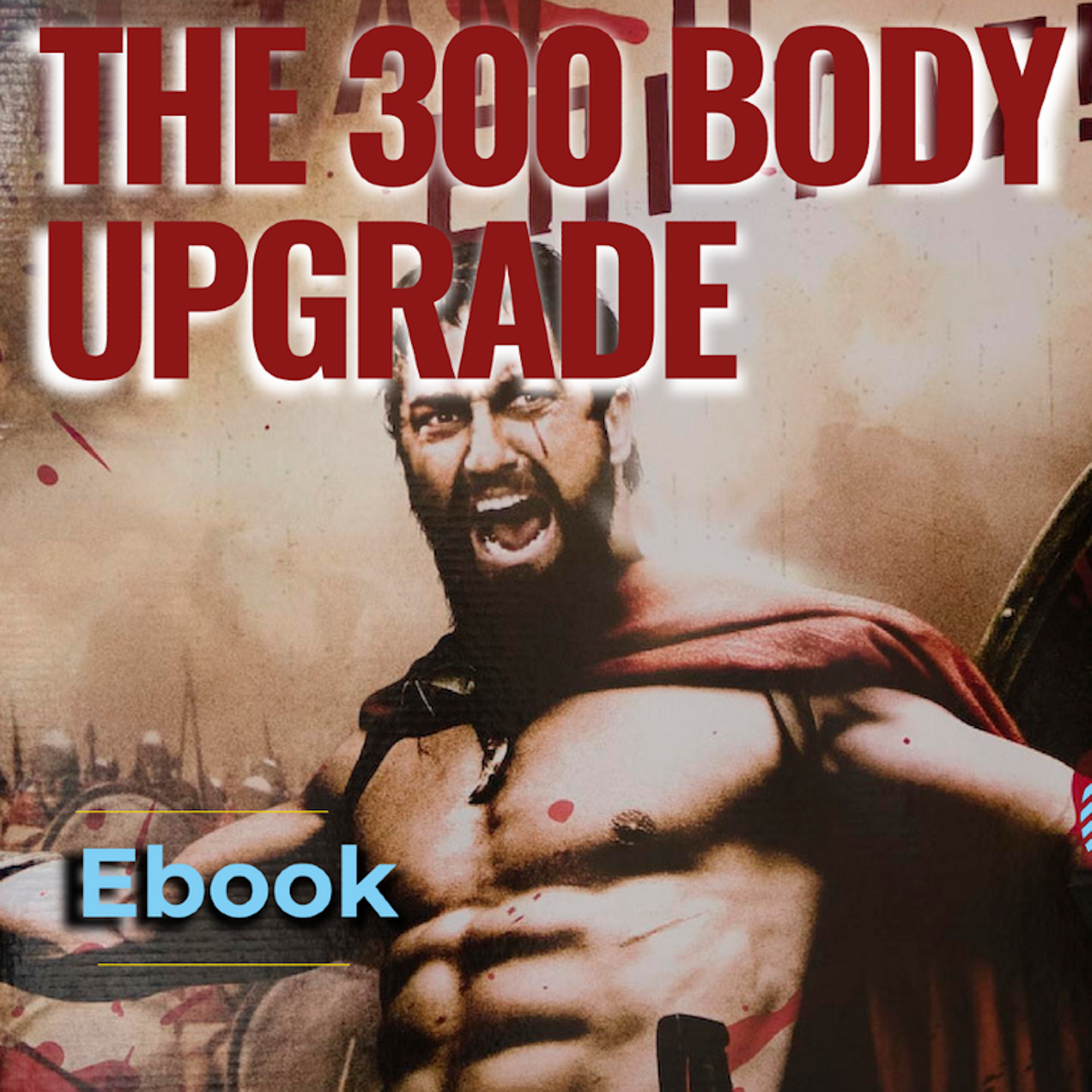 THE 300 BODY UPGRADE
